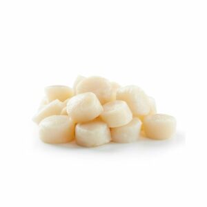 JAPANESE SCALLOPS FROZEN SIZE L